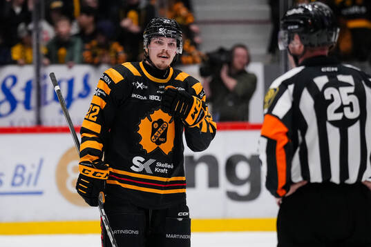 Domare Tobias Björk och Skellefteås Jonathan Johnson