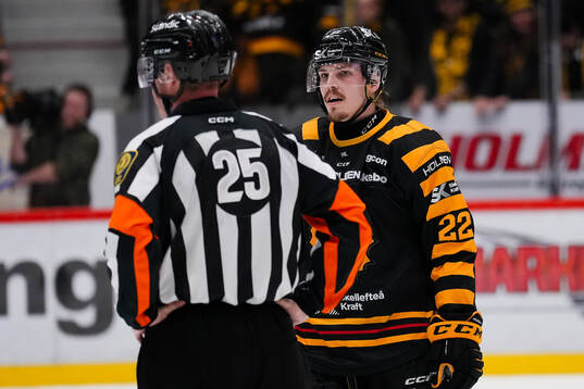 Domare Tobias Björk och Skellefteås Jonathan Johnson