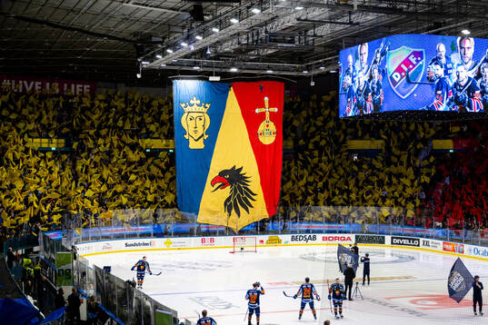 Djurgårdens supportar med tifo