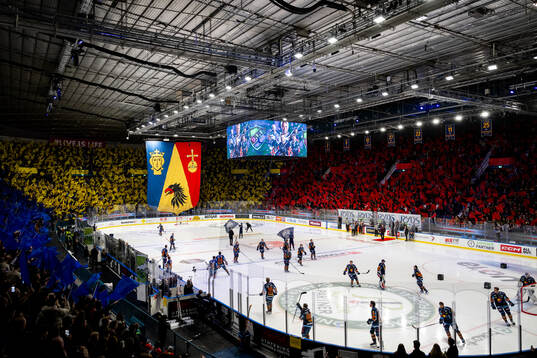 Djurgårdens supportar med tifo
