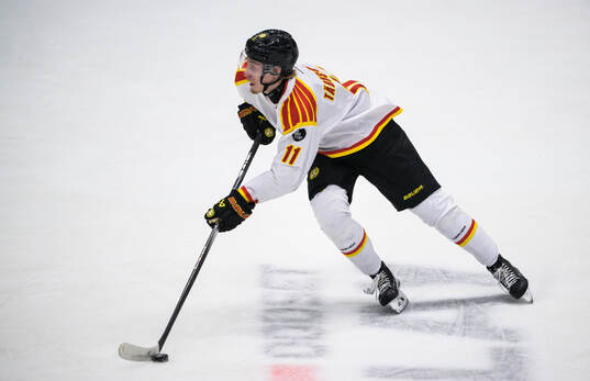 Brynäs Oliver Tärnström