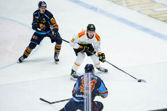Brynäs Oskar Kvist och Djurgårdens Daniel Brodin och