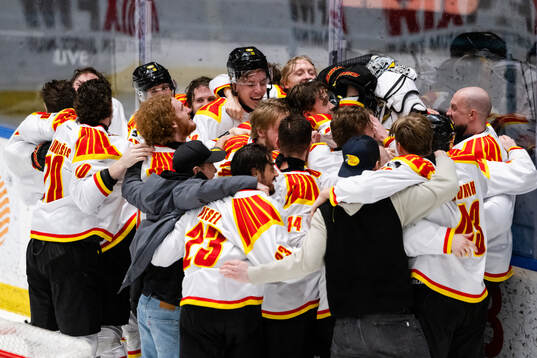 Brynäs spelare jublar