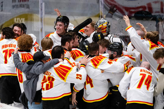 Brynäs spelare jublar
