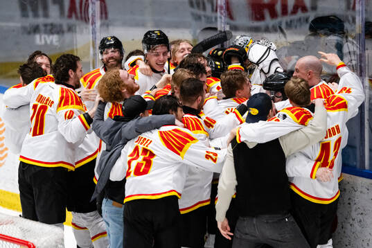 Brynäs spelare jublar