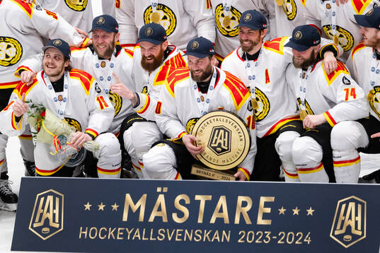 Brynäs spelare jublar