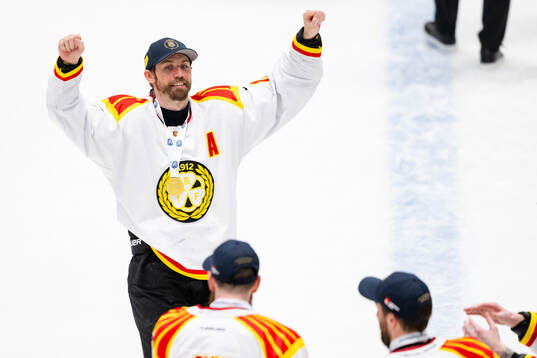 Brynäs Anton Rödin jublar