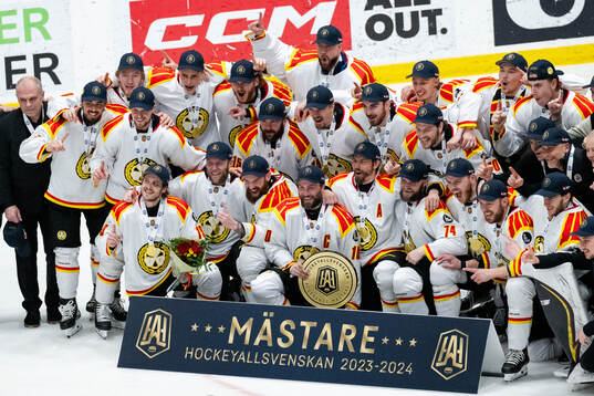 Brynäs spelare jublar