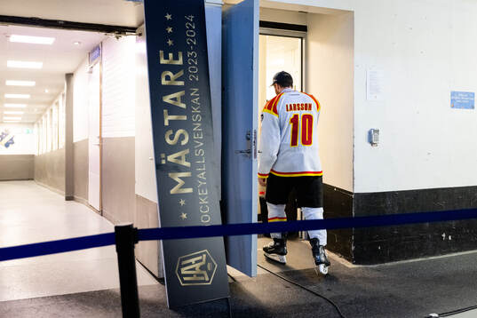 Brynäs Johan Larsson jublar