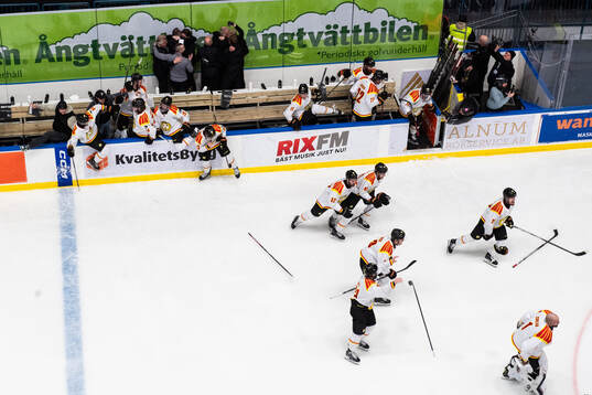 Brynäs spelare och ledare jublar