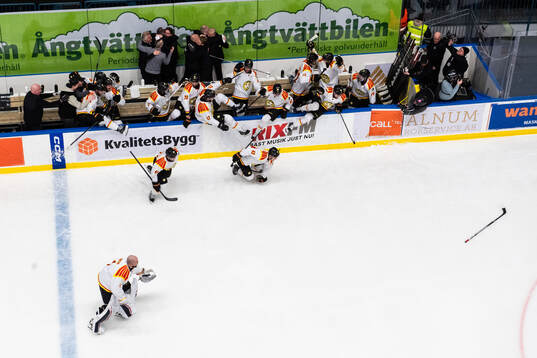 Brynäs spelare och ledare jublar
