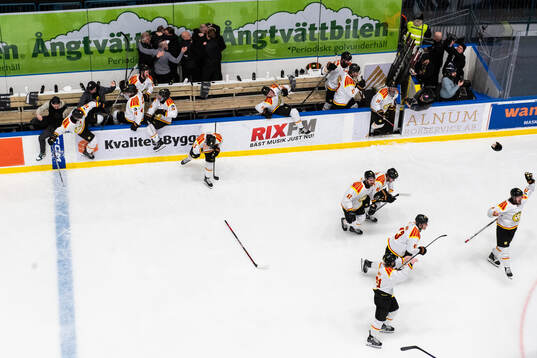 Brynäs spelare och ledare jublar