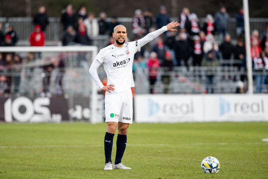 Helsingborgs Sumar Almadjed