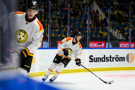 Brynäs Karlis Cukste