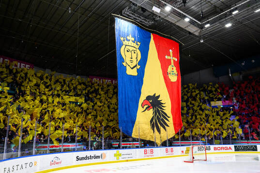Djurgårdens supportar med tifo