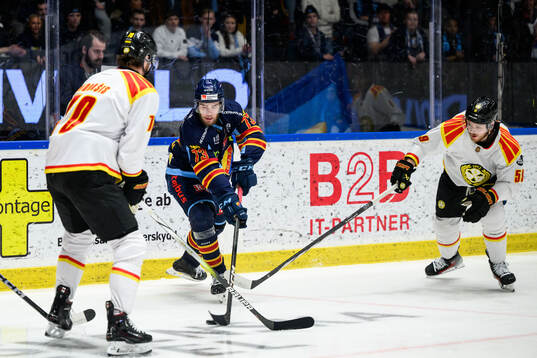 Djurgårdens Anton Gradin och Brynäs Karlis Cukste