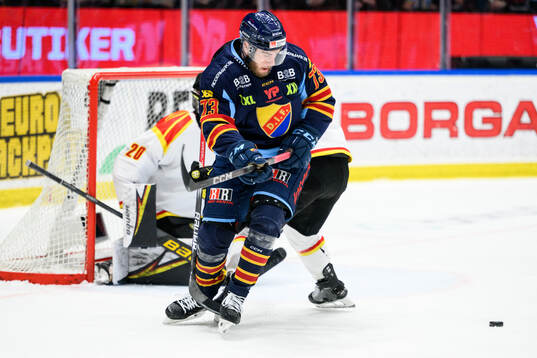 Djurgårdens Anton Gradin