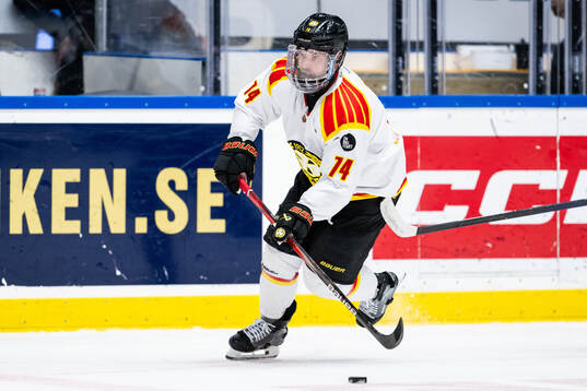 Brynäs Chad Billins