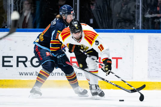 Djurgårdens Jakob Ragnarsson och Brynäs Anton Rödin