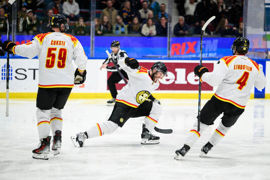 Brynäs Greg Scott jublar