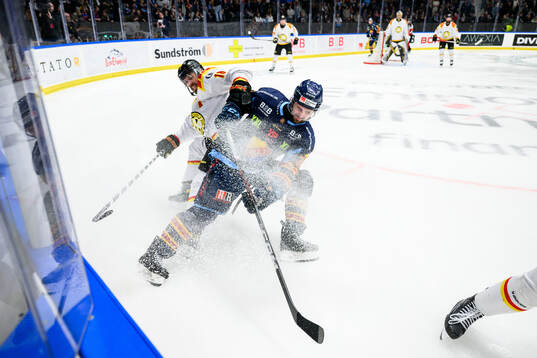 Brynäs Anton Rödin och Djurgårdens Marcus Krüger