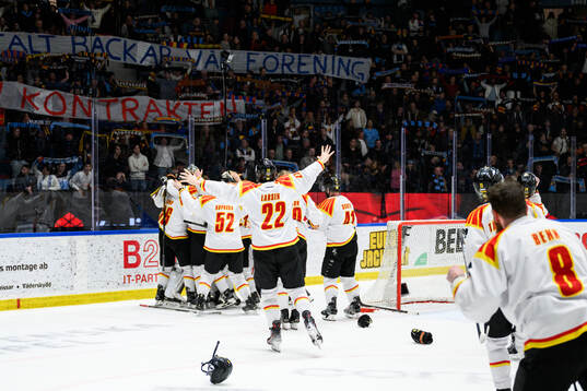 Brynäs spelare jublar