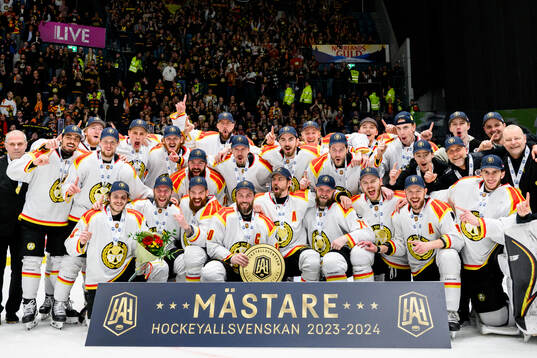 Brynäs spelare jublar