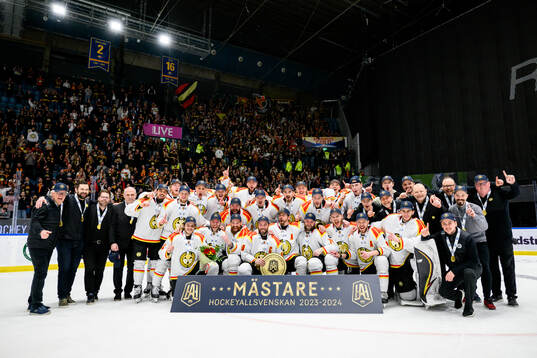 Brynäs spelare jublar