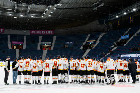 Brynäs spelare jublar