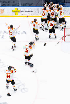 Brynäs spelare jublar på slutsignalen