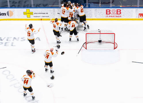 Brynäs spelare jublar på slutsignalen