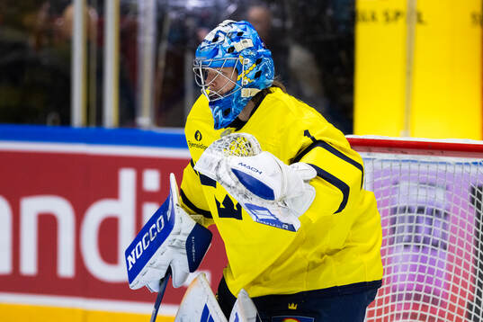Goalkeeper Filip Larsson of Sweden