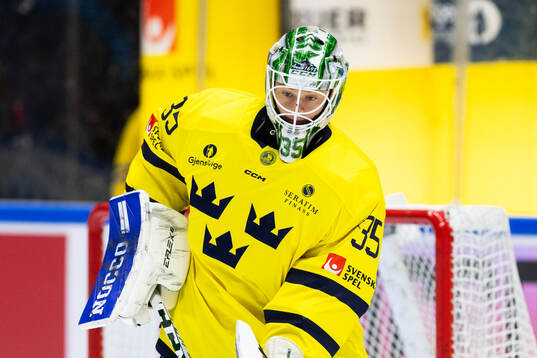 Goalkeeper Carl Lindbom of Sweden