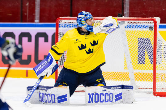 Goalkeeper Filip Larsson of Sweden