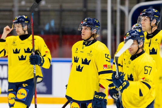 Marcus Hardegård of Sweden looks dejected
