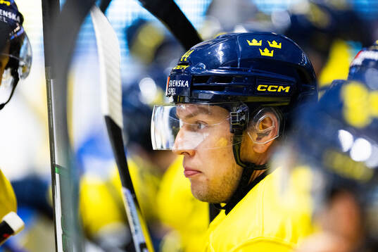 during the international friendly ice hockey game between
