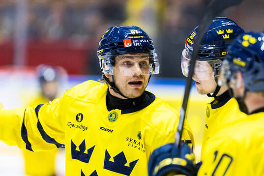 Leon Bristedt of Sweden