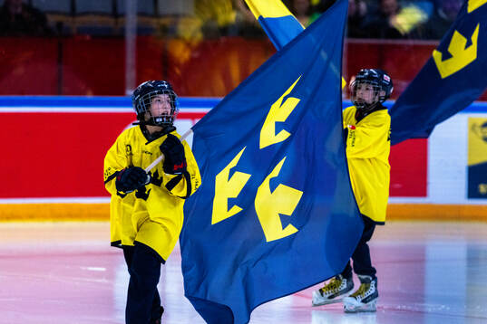 Ahead of the international friendly ice hockey game between