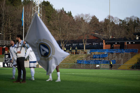Sirius supportrar med banderoller