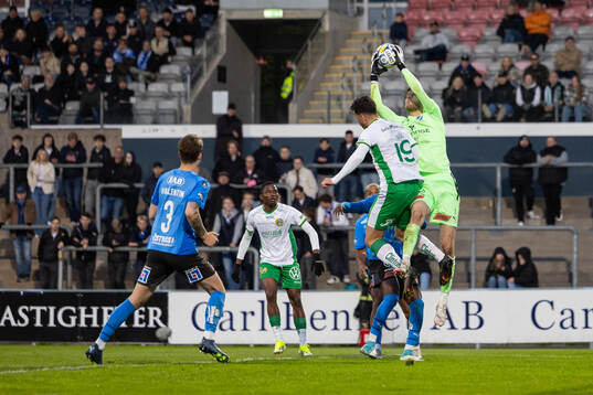 Halmstads målvakt Tim Rönning