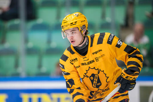 Skellefteås Axel Sandin Pellikka