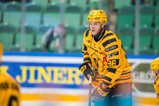 Skellefteås Rickard Hugg