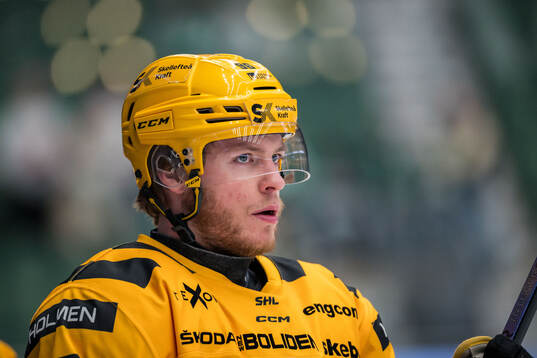 Skellefteås Rickard Hugg