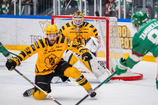 Skellefteås målvakt Linus Söderström