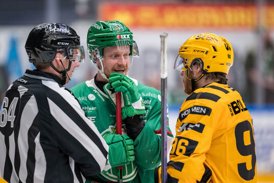 Rögles Anton Bengtsson och Skellefteås Rickard Hugg