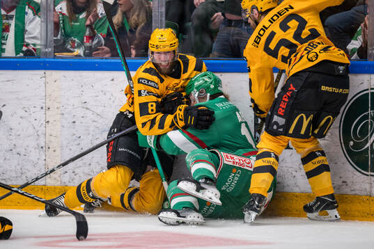 Skellefteås Petter Granberg och Rögles Rodrigo Abols