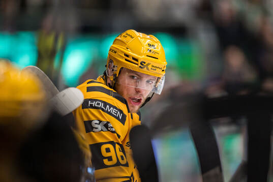 Skellefteås Rickard Hugg