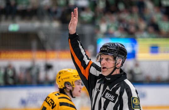 Domare Mikael Nord