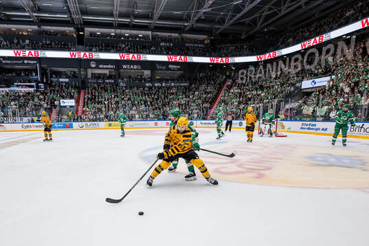 Skellefteås Martins Dzierkals