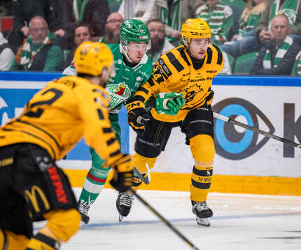 Rögles Albin Sundsvik och Skellefteås Elias Salomonsson